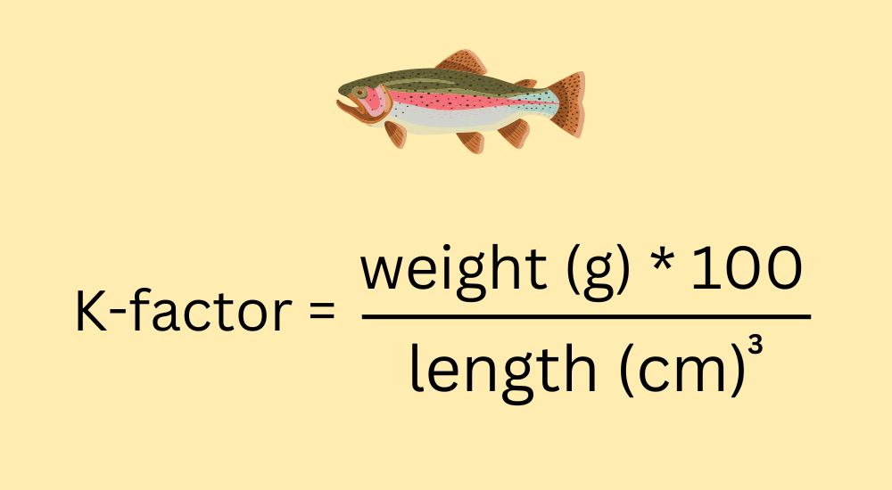 How to calculate the k-factor of a trout